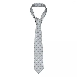 Papillon Cravatta da uomo Classica magra carina Testa di procione Cravatte Colletto stretto Slim Accessori casual Regalo