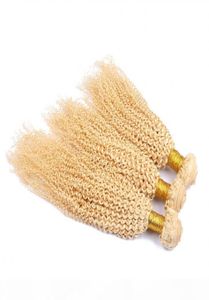 Kinky Curly Malezyjskie blond ludzkie przedłużenia włosów podwójne wątki czyste 613 Bleach Blonde Human Hair Weavves 3bundles Lot Afro Curly 9290207