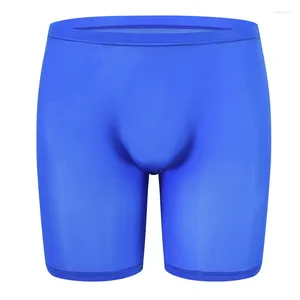 Mutande Da Uomo Intimo Boxer Gamba Lunga Trasparente Mutandine Sexy Slip Maschile Solido Fitness Senza Soluzione Di Continuità