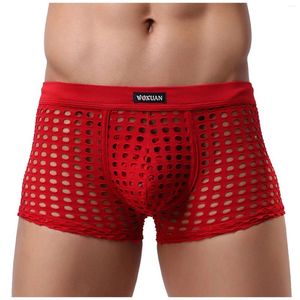 Underpants Males Underwear Hollow Mens Sexy Low-Rise Mesh Panties Male Fishnet Transparent Bikini Elastic Pouch