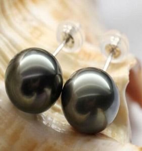 pearl jewelry charming huge 1011mm tahitian black round pearl earring 18k2391726