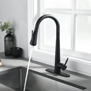 Kitchen Faucets Black Sink Washbasin Faucet 304 Stainless Steel Multi-function Pull Four Outlet