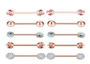 10 pezzi set anelli per lingua in oro rosa anelli in acciaio inossidabile acrilico orecchini bilancieri corpo trago piercing gioielli anello per capezzolo9646431