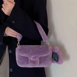 Druvbobo plysch för kvinnors höst och vinter ny handhållen en axel crossbody väska 75% fabriksdirektförsäljning