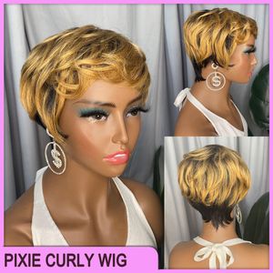 Grossistpris högkvalitativt brasiliansk peruansk indisk 100% vrigin rå remy mänskligt hår 1b27 pixie curly short no spets bang peruk