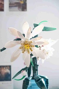 Bloklar 800+PCS Epifyllum Düzenlemesi Çiçek Romantik Kız Serisi Doğum Günü Hediyeleri Dekorasyon Diy Vazo Yapım Blokları Model Tuğlalar