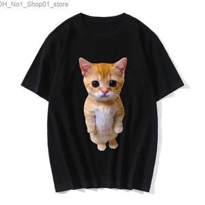 T-shirts roliga katt 3d tryck kvinnor casual t-shirt kvinnor män sommar harajuku t skjortor tjej pojke casual mode kläder q240218