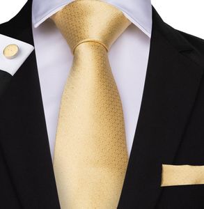 HiTie New Ties Gold Solide Krawatte Einstecktuch Manschettenknöpfe 100 Seide Handgemacht Hohe Qualität 150 cm Krawatte Hochzeit Geschäft Weihnachten Fr3498962