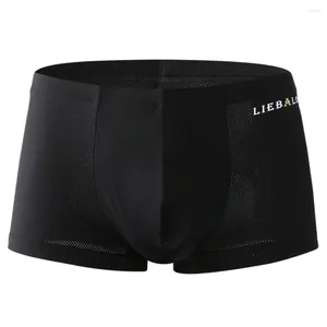 Underpants Breathable Ice Silk Boxers Mens Underwear Mesh Shorts Elephant Trunk Panties Bulge Pouch Sexy Comfort Boxer Briefs