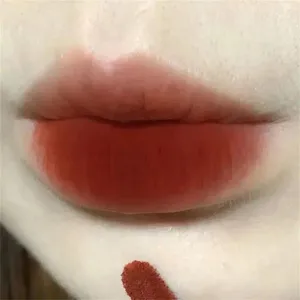Lip Gloss PINK COCO Velvet Matte Lipstick Waterproof Long Lasting Glaze Women Sexy Red Tint Beauty Cosmetic Maquillaje