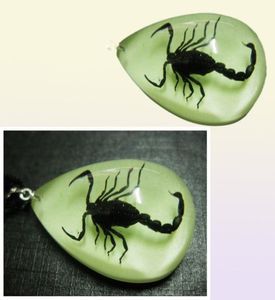 yqtdmy 12 pcs Insect Fashion scorpion pendant style luminous small adorn article59417539776648