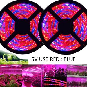 Luce a LED per la crescita delle piante, 3 rosse: 1 blu SMD2835 LED USB 5V Striscia led a spettro completo per la coltivazione, Piante acquario Serra Fiori Semina di verdure