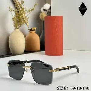 Sunglasses Frameless Rectangular Pilot Men Women Black Wood Grain Legs Trend Brand Designer Eyeglasses Outdoor Shades UV400