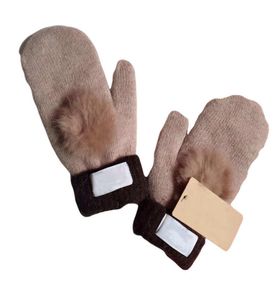 whole winter new women039s canvas cashmere luxury Gloves autumn warm plush G windproof designer fivefinger fashion mittens3357147