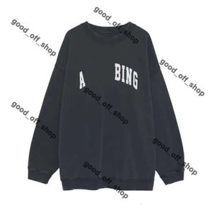 Tasarımcı Hoodie Anines Bing Sweatshirts Hoody Women Sweatshirt Niş Klasik Kartal Tasarımcı Kazak Hoodies Annie Bing Hoodie Gannie Anime Hoodie AB Bing 312