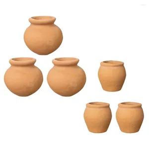 Bahçe Dekorasyonları 6 PCS Mini Terracotta Etli Pot minyatür Bitki Kreş Çiçek Üreme Konteynerleri