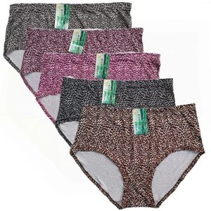 Damenhöschen, Leopardenmuster, extra große Damen-Unterwäsche, Panti-Druck, sexy Slips, Übergröße, Unterhose, übergroßes Höschen