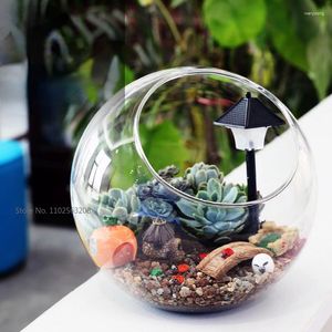 Vases Creative Micro Landscape Slanted Glass Vase Moss Succulent DIY Eco Bottle Crystal Home Accessories Wholesale Decor