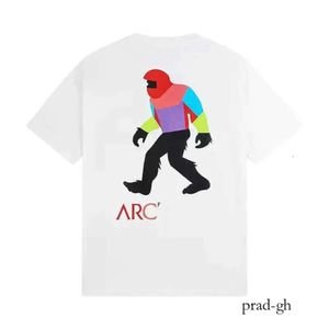 Moda lüks klasik tasarımcı arcterys t shirt yüksek kaliteli kuş markası yaz erkek ve kadın tişörtler moda saf pamuk çift hip hop tişörtler -s s 420