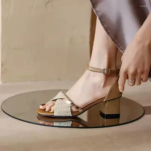 Kleidschuhe Schuhe Beige Sandalen für Frauen Büroarbeit Damen Quadratische Absätze Sommer 2024 Ein Wort Mittlere Sandale Vintage Großhandel F H