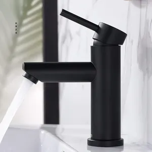 Banyo Lavabo muslukları 304 Siyah boyalı paslanmaz çelik soğuk ve musluk dolabı düz ağız