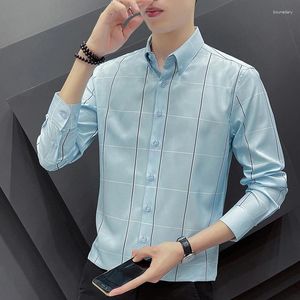 Camisas de vestido masculinas de alta qualidade camisa xadrez de manga comprida dropship clássico na moda bonito cavalheiro negócios casual topos