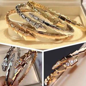 Modedesigner-Armband mit Schlangenknochen, Designer-Schmuck, Schlangen-Diamantarmbänder für Damen und Herren, schmales Schlangenarmband mit einem Kreis aus Edelstahl, luxuriöser Armreif aus 18 Karat Gold
