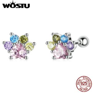 Earrings WOSTU 925 Sterling Silver Cat Dog Colorful Animals Cute Paws Rainbow Stud Earrings For Women Fashion Party Jewelry Gift CQE1334