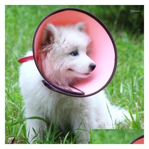 Collari per cani Guinzagli Collo per animali domestici Anello Testa Er Collare di protezione anti-morso Forniture per gatti Consegna a domicilio Giardino domestico Dhcsa