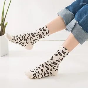 Meias femininas 2024 moda mulher impressão coreano senhoras estilo 8 cores sexy leopardo calcetines engraçado