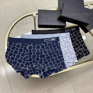 Ny Hot Cotton Luxury Mens Underwear Designer Boxers Soft Breatble Letter Ice Shreds Underpants Shorts Design Tight Waistband Men Dgteree
