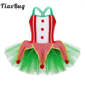 Sahne Giyim Çocuklar Sirk Palyaço Cosplay Cosplay Costumes Powins Pompoms Noel Mesh Leotard Tutu Elf Elf Prenses Giysileri