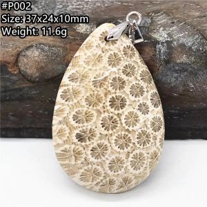 Pendants Top Natural White Chrysanthemum Precious Coral Pendant Jewelry For Women Men Healing Love Gift Crystal Silver Beads Stone AAAAA
