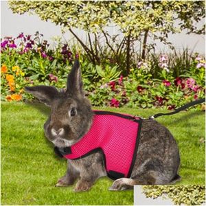 Hundhalsar Leases Harness Vest and Leash Set Ferret Guinea Pig Walk Accessories Bröstrem PET -leveranser för Hamster Drop Delive Dham8