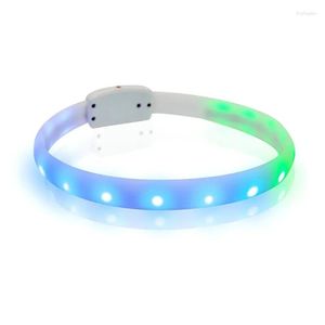 Dog Collars Leadhes LED Colorf Light Collar Cuttable RainProof Rechargeable USB Safe Safe Soft Sile Ring Drop Delivery Ga Dhozh