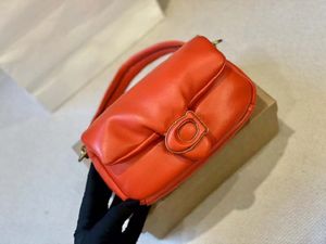 2024 axelväska hög kvalitet nylon handväska sälja kvinna lyxiga modedesigner väska klassisk handväska mjuk veckad handväska ryggsäck mjuk hasp kudde kvinnors totes