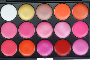 Lip Gloss All'ingrosso 96 pz 15 Colori Lipgloss Palette Colore Neutro Trendy Contour Kit Trucco Rossetto Correttore Camouflage Pigmento