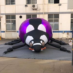 3mL (10ft) with blower wholesale Free Shipping Customized Inflatable frog ladybug mantis insects For Nightclub Party or Music Party
