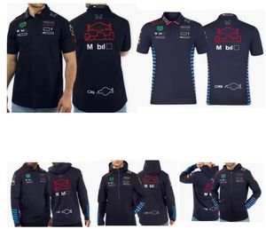 2024 NewF1 Racing Poloshirt Frühling Frühling Hoodie Sommer Kurzarm T-Shirt Gleich angepasst