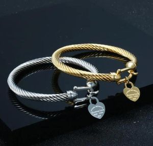 woman designer Titanium Steel Bangle Cable Wire Gold Color Love Heart Charm Bangle Bracelet With Hook Closure For Women Men Wedding Jewelry Gifts