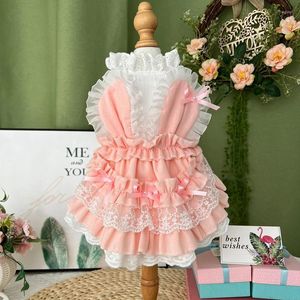 Dog Apparel Korean Sweet Cute Pink Skirts Puppy Clothing Fashion Handmade Cotton Princess Dress For Small Medium Pet Clothes