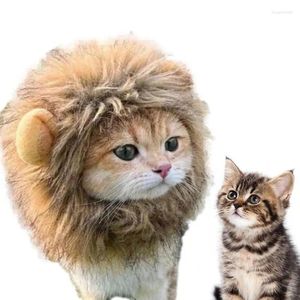 Kattdräkter lejon man kitten klä upp peruk cosplay kläder husdjur dräkt tvättbar smidig hårhår för