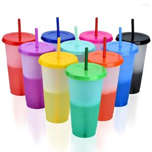 Tumblers 10st 710 ml Återanvändbar tom Plain Plastic Cup Kall färgad färgad halmtumare med och lock 24oz