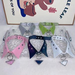 Partihandel PET -krage Teddy Bichon Schnauzer Jarre Aero Bull Justerbar hand Holding Rope Dog Collar