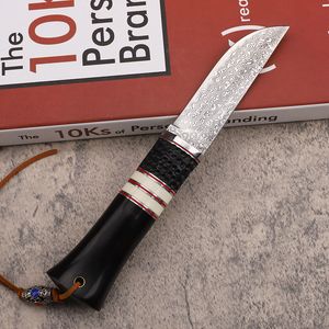 Special Offer A2251 Outdoor Survival Straight Hunting Knife VG10 Damascus Steel Straight Point Blade Wood Handle Fixed Blade Knives with Leather Sheath