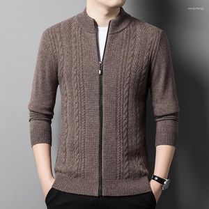 Męskie swetry wełniane swobodne dzianiny sweter sweter 2024 Autumn zima retro zamek błyskawiczny wszechstronny koreański płaszcz mężczyzna