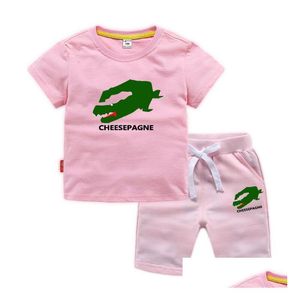 Conjuntos de roupas crianças menino menina marca animal impressão roupas 100% algodão criança tênis jerseys manga curta rosa camiseta top e shorts 2p dhjno