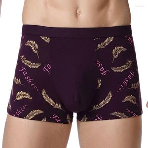 Unterhosen TJ-TingJun Herren-Unterwäsche, Baumwolle, bequemer Druck, U-Tasche, atmungsaktiv, mittlere Taille, flache Hose, Boxershorts