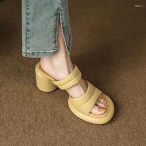 Platforma domowa na wysokie obcasowe buty Lady Black Sandals Slides Slides Sliders Women Ocel Low Fashion Summer Beige 2024 Blok