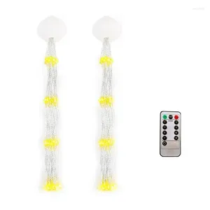 Strings Fireworks Lamp With Remote Control Outdoor Grass Globe Flash String Fairy Lights LED For Garden Lawn Holiday Light